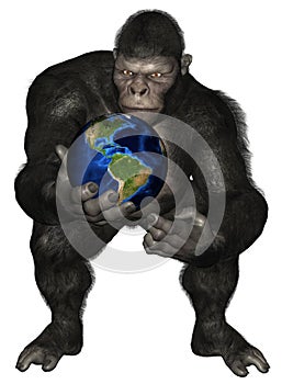 Gorilla Ape Planet Earth Isolated