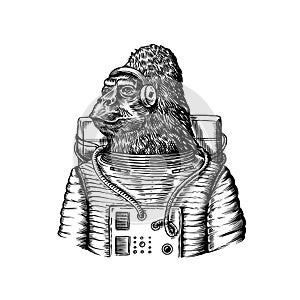 Gorilla astronaut character. Monkey spaceman cosmonaut. Fashionable animal, vitorian gentleman in a jacket. Hand drawn