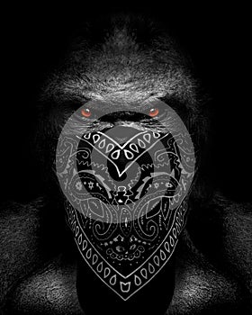 Gorilla Boss rap headscarf , mammal animal face , black white