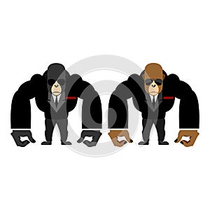 Gorilla bouncer. Big strong animal guard. Monkey in black suit b