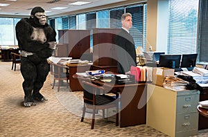 Gorilla, Business Office, Sales, Marketing