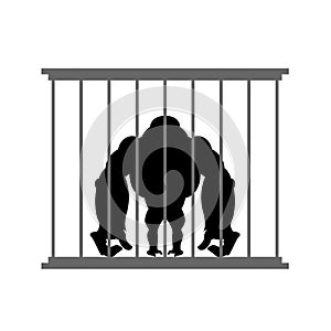 Gorilla in cage. Animal in Zoo behind bars. Big and strong monk
