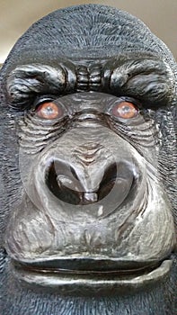 Gorilla face