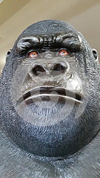 Gorilla face