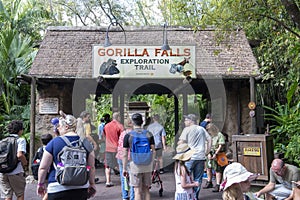 Gorilla Falls, Disney World, Travel, Animal Kingdom