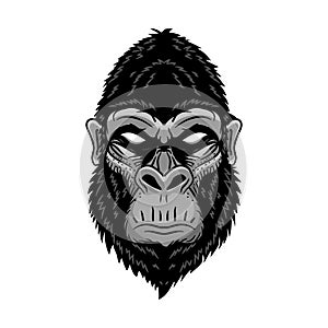 Gorilla head, ape, monkey. wild logo vector illustration, handrawn