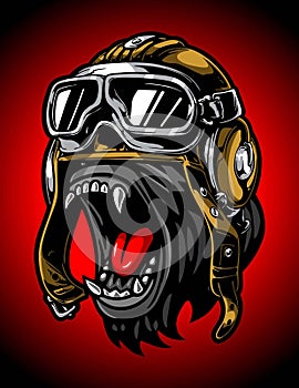 gorilla head with helmet on gray background