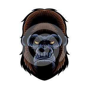 Gorila hlava 