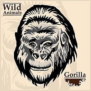 Gorilla head vector graphic illustration monochrome style