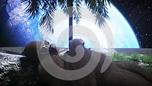 Gorilla idle on the moon oasis. 3d rendering.