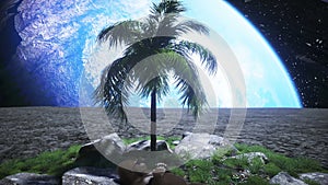 Gorilla idle on the moon oasis. 3d rendering.