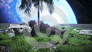 Gorilla idle on the moon oasis. 3d rendering.