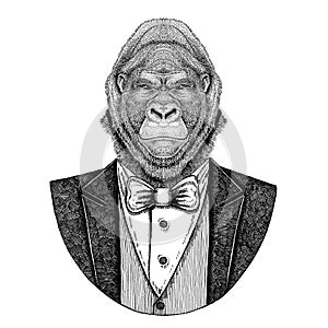 Gorilla, monkey, ape Frightful animal Hipster animal Hand drawn illustration for tattoo, emblem, badge, logo, patch, t