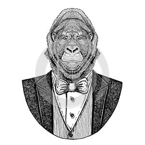 Gorilla, monkey, ape Frightful animal Hipster animal Hand drawn illustration for tattoo, emblem, badge, logo, patch, t