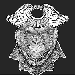 Gorilla, monkey, ape. Pirate cocked hat.