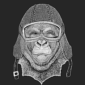 Gorilla, monkey, ape. Vintage motorcycle hemlet. Retro style illustration with animal biker for children, kids clothing