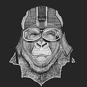 Gorilla, monkey, ape. Vintage motorcycle leather helmet.