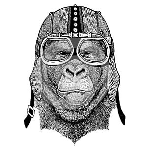 Gorilla, monkey, ape wearing motorcycle, aero helmet. Biker illustration for t-shirt, posters, prints.