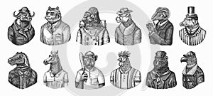 Gorilla monkey astronaut. Eagle aviator pilot Rooster Dinosaur Pig Tiger Bear Sheep Buffalo Bull Horse Cheetah. Dog