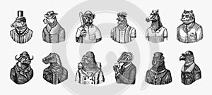 Gorilla monkey astronaut. Eagle aviator pilot Rooster Dinosaur Pig Tiger Bear Sheep Buffalo Bull Horse Cheetah. Dog