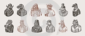 Gorilla monkey astronaut. Eagle aviator pilot Rooster Dinosaur Pig Tiger Bear Sheep Buffalo Bull Horse Cheetah. Dog