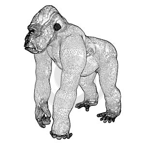 Gorilla Vector 01. Isolated On White Background. A Vector Illustration Of A Metal Statue