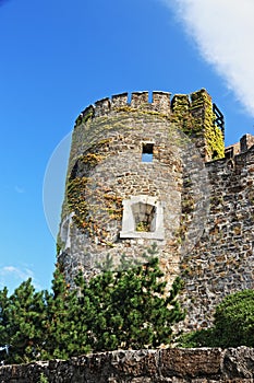 Gorizia, a town in northeastern Italy