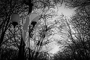 Gorky park spotlights