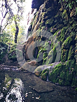 Gorman falls photo