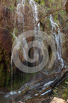 Gorman Falls in Colorado Bend State Park photo