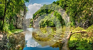 Gornij Tikich mountain river with cliffs and fallen tree