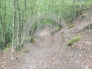 Gornji Milanovac Takovo Serbia mountain Treska hiking trail