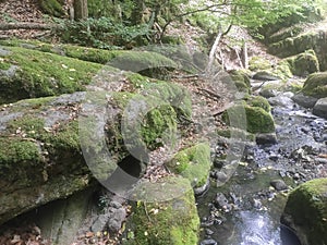 Gornji Milanovac Takovo Serbia mountain Treska mountain stream in the base