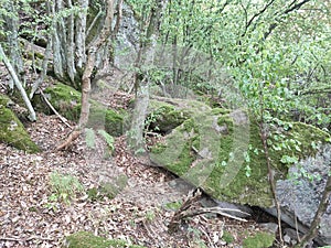 Gornji Milanovac Takovo Serbia mountain Treska old stones near the hiking trail