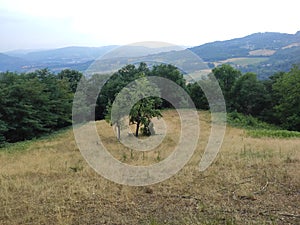 Gornji Milanovac Takovo Serbia mountain Treska panoramic view