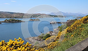 Gorse flowers, islands and road bridge