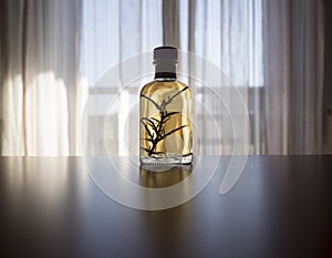Gorse or herbal liquor in a table with the light of a window in the backgrownd