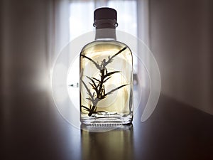 Gorse or herbal liquor in a table with the light of a window in the backgrownd