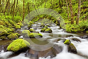 Gorton Creek in the Columbia River Gorge, Oregon, USA