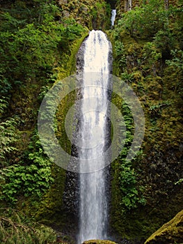 Gorton Creek Falls photo