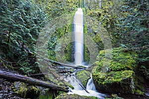 Gorton Creek Falls, Columbia River Gorge, Oregon. Secluded 150 foot tall waterfall, stunning natural waterfall