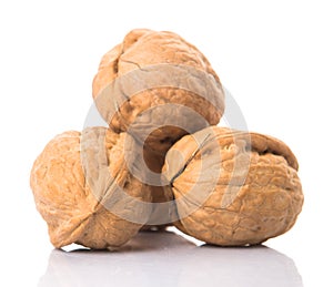 A Gorup Of Walnut Nut I