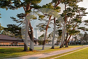 Goryokaku Park with forest in Hakodate, Hokkaido, Japan