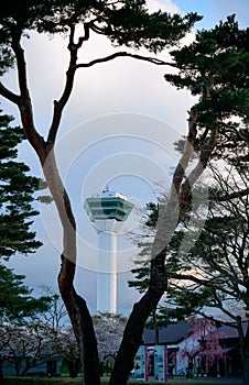 Goryokaku Tower in Hakodate, Japan