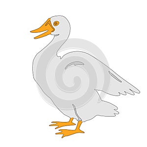 Gosling vector illustration