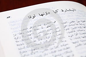 Gospel of Luke in Arabic photo