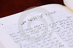 Gospel of Matthew in Arabic photo