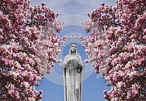 Mary, mother of Jesus photo