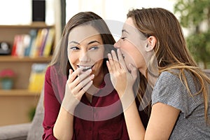 Gossip friend telling a secret photo