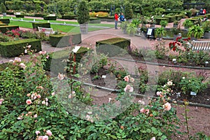 Gothenburg Botanical Garden